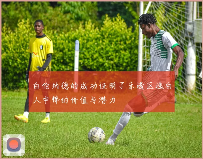 白伦纳德的成功证明了乐透区选白人中锋的价值与潜力